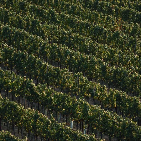 Zerou Апартаменты *